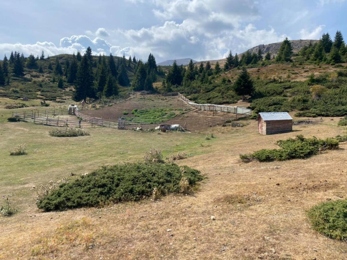 Villa 80 Kodra E Diellit Tetovo Kültér fotó